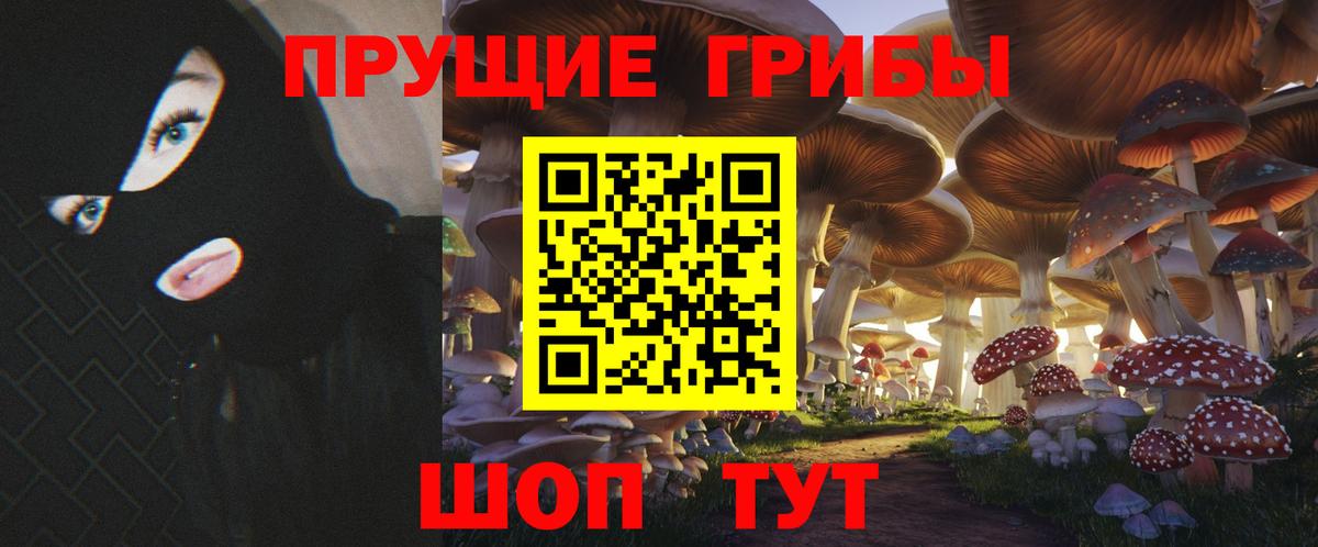 Узловая  Галлюциногенные грибы MAGIC MUSHROOMS  Псилоцибиновые грибы Cubensis  Вход с VPN 